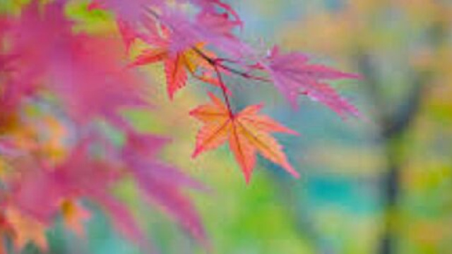 L'oroscopo e classifica di domani, 22 settembre: Toro in salute, Acquario ambizioso.