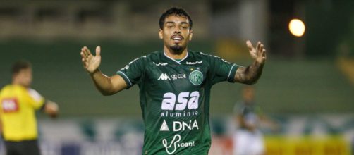 Guarani bateu o Remo em Campinas (Thomaz Marostegan/Guarani)