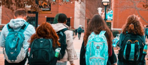 Desde el Ministerio de Educaci&oacute;n plantean una reorganizaci&oacute;n para los distintos niveles (Pixabay)