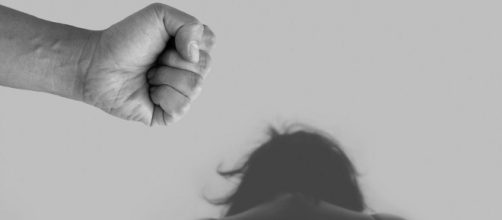 Noa Alonso fue agredida por defender a un perro v&iacute;ctima de una paliza (Pixabay)