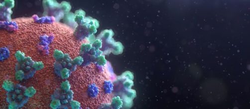 La nueva variante del coronavirus 'Mu' se asienta en Estados Unidos (Unplash)