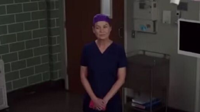 Nella season premiere di Grey's Anatomy 18, Meredith Grey incontrer&agrave; il dottor David Hamilton.