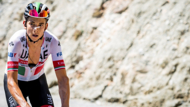 Il ciclista Formolo protagonista di un incidente contro un cinghiale.