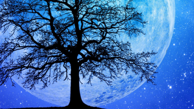 L'oroscopo del giorno 20 gennaio: Sole in Acquario, novit&agrave; per Capricorno (2^ met&agrave;).