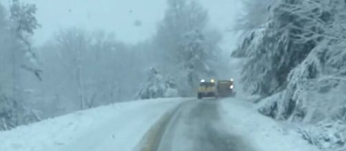 Winter Storm Izzy (Image source: Newsweek)