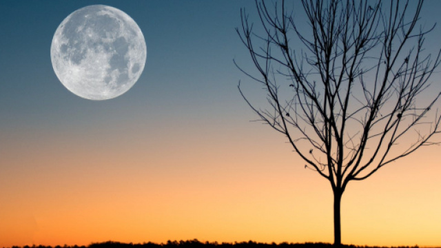 Previsioni astrologiche del 4 gennaio: Ariete intuitivo, Luna favorevole al Sagittario.