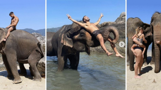 JLC Family en Tha&iuml;lande, sur des &eacute;l&eacute;phants - Source : montage, Instagram