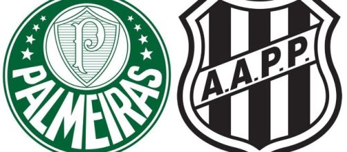 Onde assistir Palmeiras x Ponte Preta ao vivo (Arte/Eduardo Gouvea)