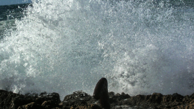 Forte vento sul Salento- foto ss.it