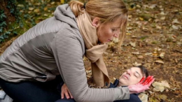 Tempesta d'amore, trame tedesche: Georg &egrave; un criminale, Werner fa sparare Robert.