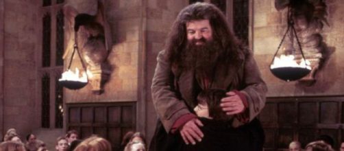 El guardabosques de Hogwarts es una figura muy importante en la saga (Captura de pantalla de 'Harry Potter')