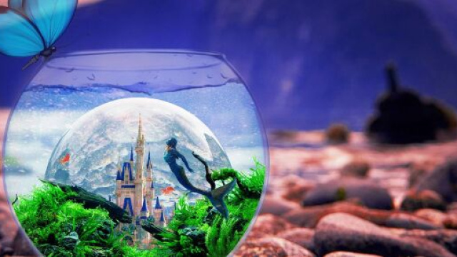 Oroscopo del 18 ottobre su lavoro ed emozioni: Toro pigro