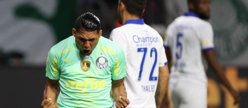 Palmeiras caminha para mais um t&iacute;tulo do Brasileir&atilde;o Foto: Cesar Greco