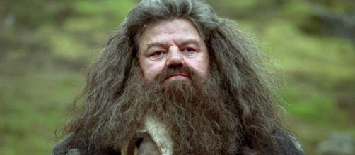 Robbie Coltrane como Hagrid em 'Harry Potter' (Reprodu&ccedil;&atilde;o/Universal Studios)