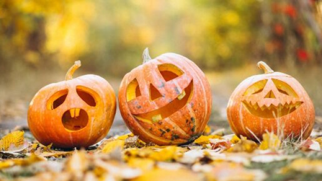 L'oroscopo del 31 ottobre con le pagelle: giornata da sette per i Pesci.