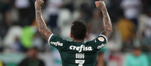 Palmeiras se aproxima do t&iacute;tulo do Brasileir&atilde;o (Cesar Greco/Palmeiras)