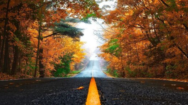 L'oroscopo del 6 ottobre con le pagelle: giornata da otto per i Gemelli e il Cancro.