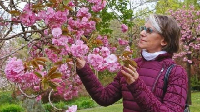 Caso Resinovich, per i periti della Procura Liliana sarebbe morta 48/60 ore prima del ritrovamento del corpo.