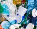 Plastica compostabile: secondo uno studio inglese il 60% non si decompone