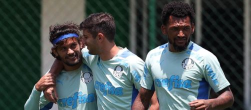 Palmeiras encara o Am&eacute;rica (Cesar Greco/Palmeiras)