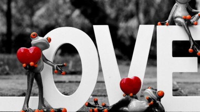 Oroscopo dell'11 novembre per l'amore: Toro civettuolo, Vergine passionale.