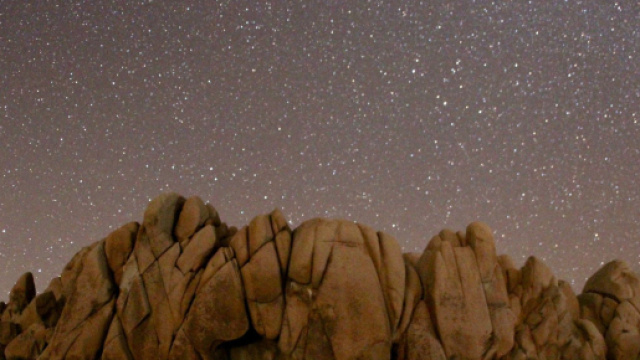 Previsioni astrologiche dell'11 novembre: Toro coraggioso, Acquario innamorato.