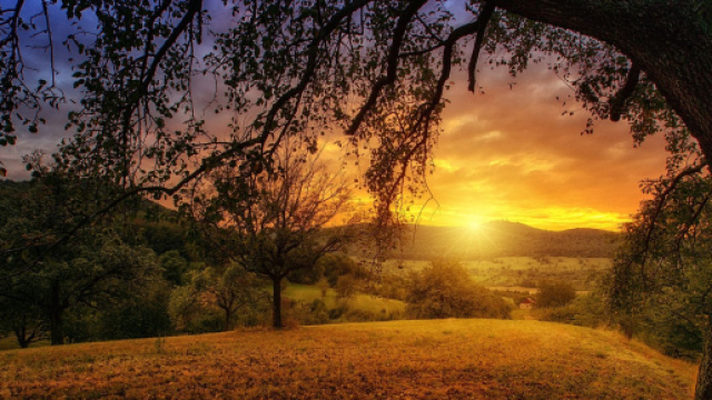 Oroscopo e classifica di mercoled&igrave; 23 novembre: il Sole entra nel segno del Sagittario.