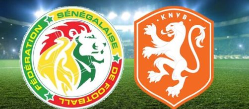 Onde assistir Senegal X Holanda ao vivo (Arte/Eduardo Gouvea)