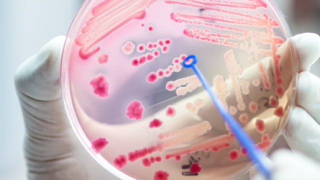 Antibiotico-resistenza, si &egrave; chiusa la settimana mondiale sull&rsquo;uso consapevole degli antibiotici.