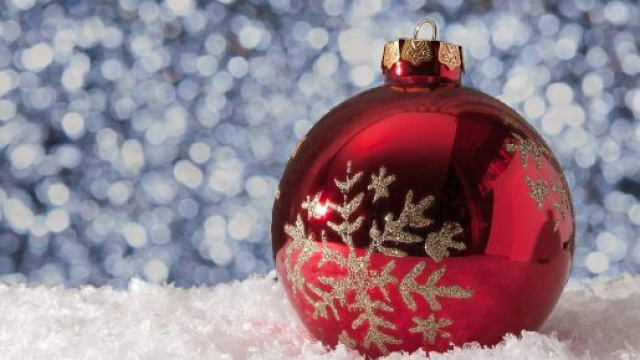 Oroscopo e classifica settimana dal 28 novembre al 4 dicembre: Toro paziente.