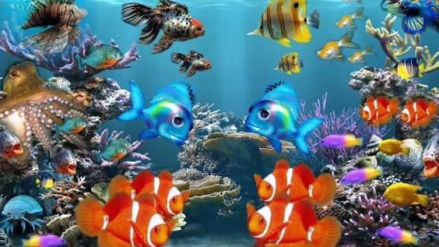 L'oroscopo del 28 novembre e pagelle: giornata da 8 per l'Acquario.