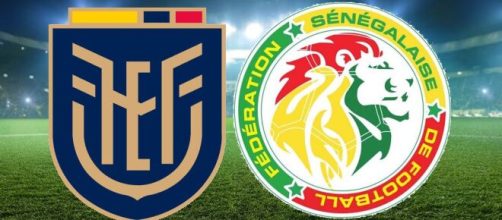 Onde assistir Equador x Senegal ao vivo (Arte/Eduardo Gouvea)