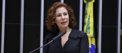 Carla Zambelli tem contas suspensas em redes sociais (Michel Jesus/C&acirc;mara dos Deputados)