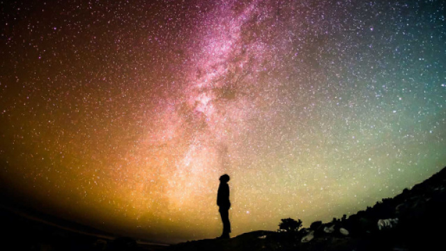 Previsioni astrologiche e classifica del 1&deg; dicembre: Leone in colpa, Bilancia solidale.