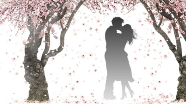 L'oroscopo del 9 novembre per l'amore: Capricorno sentimentale.