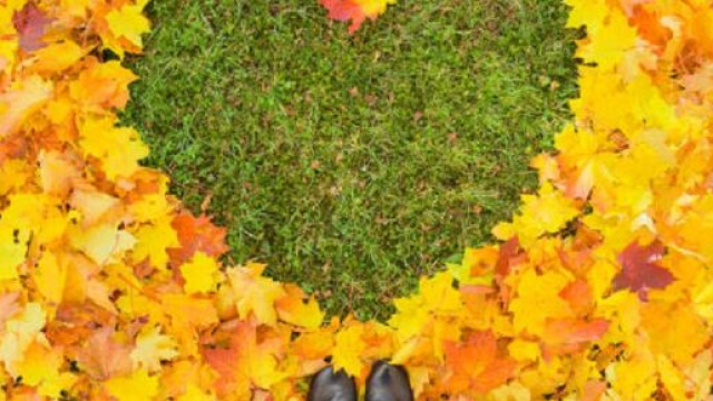 Oroscopo e classifica di gioved&igrave; 10 novembre: intesa di coppia per Gemelli.