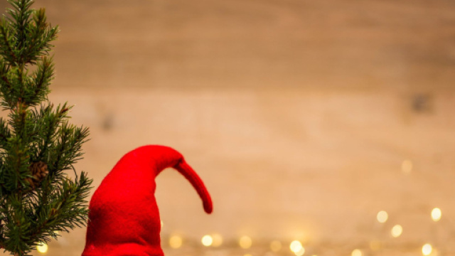 Oroscopo e classifica di luned&igrave; 12 dicembre: Capricorno audace, Acquario gi&ugrave;.