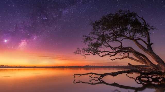 Previsioni astrologiche del 20 dicembre: Gemelli emozionati, Acquario premuroso.