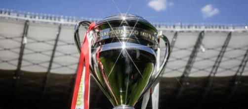 A ta&ccedil;a de campe&atilde;o mineiro (Cristiane Mattos/FMF)