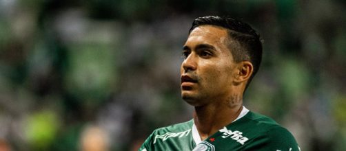Dudu seguir&aacute; no Palmeiras (Divulga&ccedil;&atilde;o/Palmeiras)