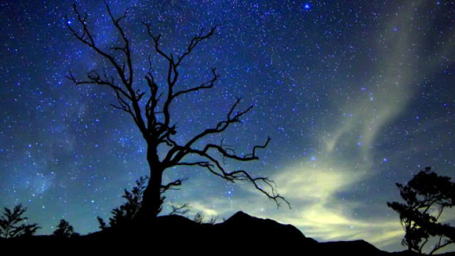 Previsioni astrologiche del 24 dicembre: Scorpione litigioso, Pesci amichevoli.