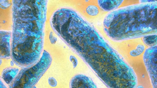 Gli ingegneri biomedici della UC Davis hanno creato delle cellule cyborg semiviventi.