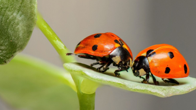 L'oroscopo settimanale fino al 18 dicembre 2022: Luna in Bilancia, bene Acquario (2^ met&agrave;).