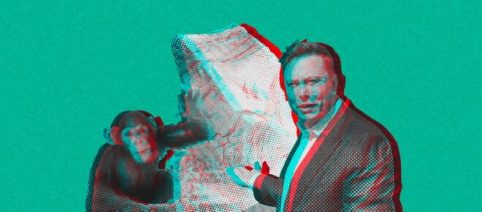 Não é verdade: de recorde de neve que contradiz aquecimento global a Neuralink matando 3.000 macacos