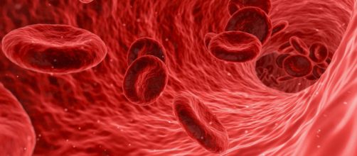 Anemia: como identificar. (Arquivo Blasting News)