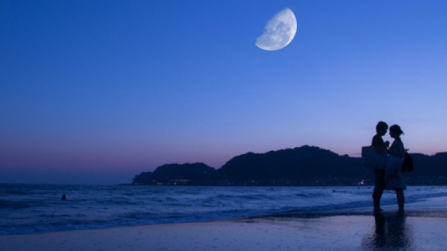 Previsioni zodiacali del 14 febbraio: Toro audace, Leone passionale.