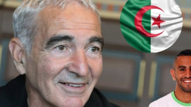 L'Alg&eacute;rie r&ecirc;ve de Raymond Domenech, les supporters r&eacute;agissent (captures YouTube)