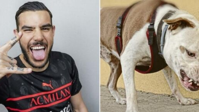 Le pitbull de Th&eacute;o Hernandez a mordu &agrave; mort le petit chien d&rsquo;une femme &acirc;g&eacute;e (captures YouTube)