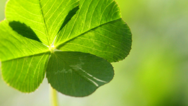 Oroscopo e classifica di marzo 2022 per fortuna e salute: segni di aria e acqua ottimali.