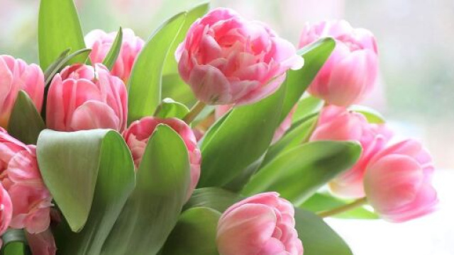 Oroscopo marzo 2022: mese dei Pesci, basta tormenti per Cancro.